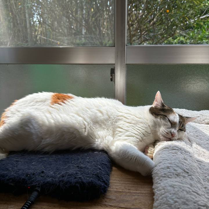 Ff2ae420 db0a 41f5 9dbd d891c54cb928 1743652241566