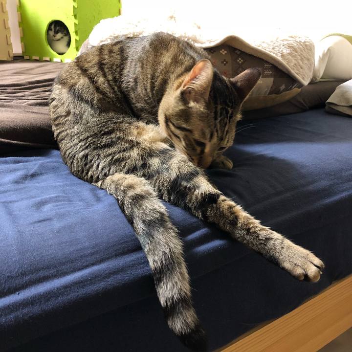 Ff2aeb4a efd1 4890 8027 530d40e8cfce 1519833786941