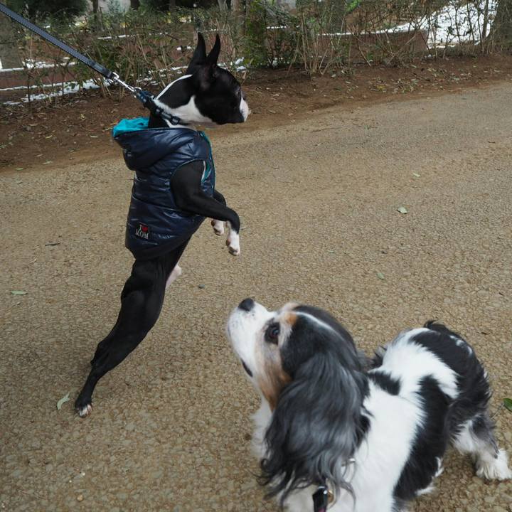 Ff2b174e fe93 4a45 aef6 b486871769c2 1517131078719