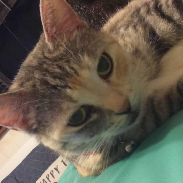 Ff2b1981 446d 4694 97ae 175093947229 1567614067254