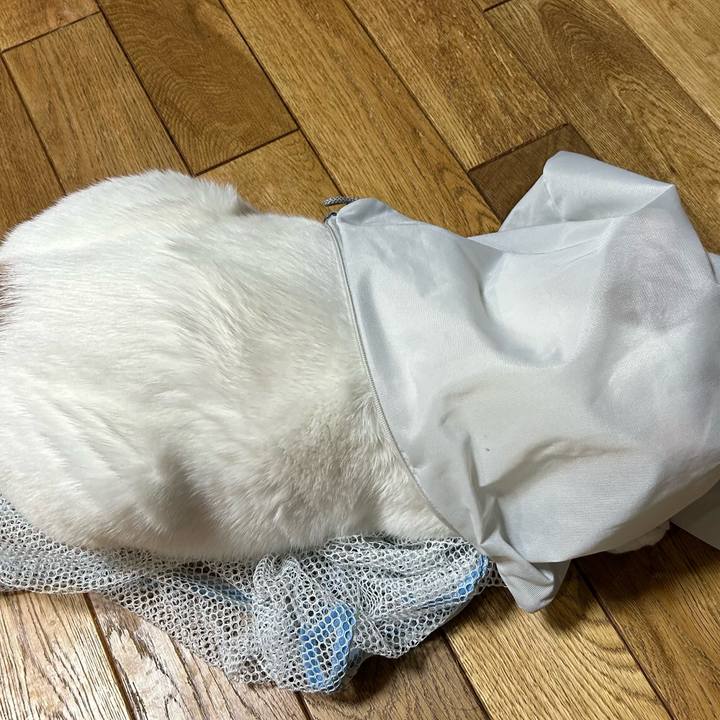 Ff2b2772 696c 4c0c 82af a738aa20e4de 1670678730746