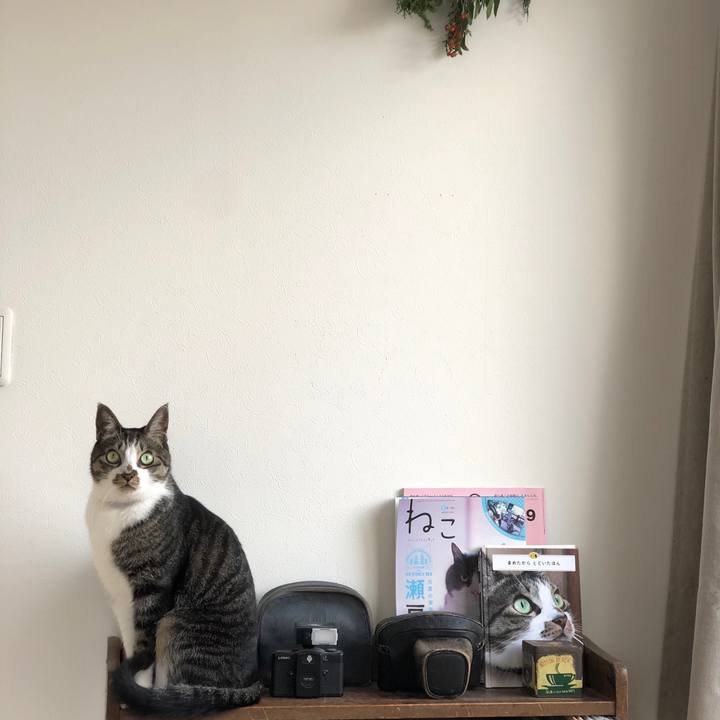 Ff2b28ef 936d 4dc1 9680 b1bc70a273ba 1542671749462