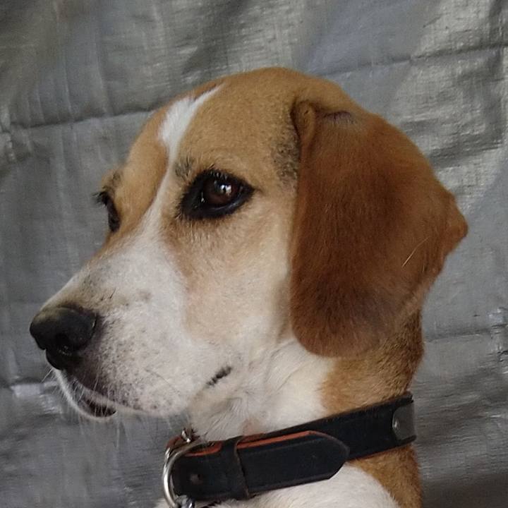 Ff2b29a6 effd 4f09 8832 893747ee5eff 1662101933936