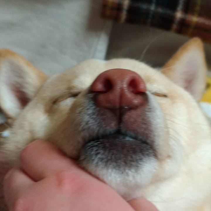 Ff2b5ab6 d1c6 4b54 ac4e 41db14a63609 1515847713232