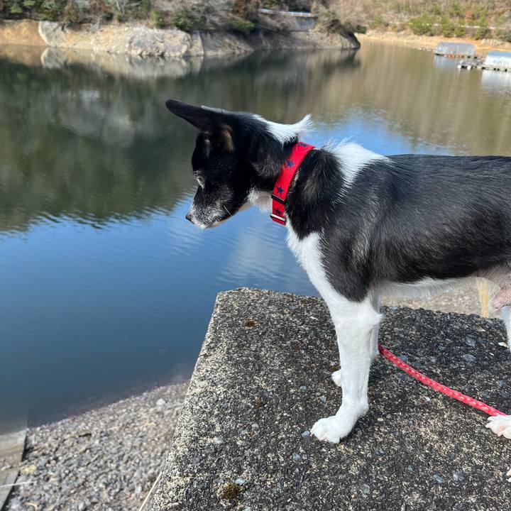 Ff2b5bdf 7732 4bf8 b9d9 869d56782470 1705923098661