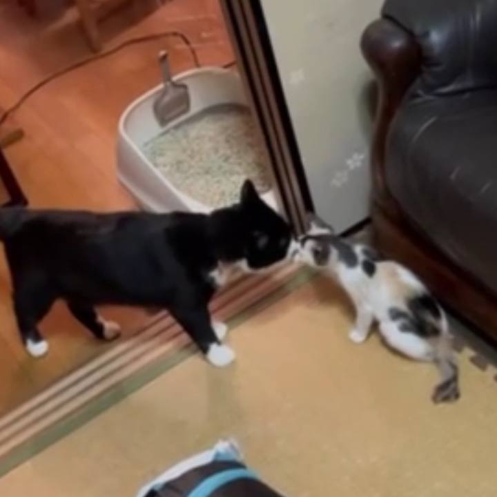 Ff2b8207 2fa1 44de 8bd8 bd0b6611ce8f 1658108365115