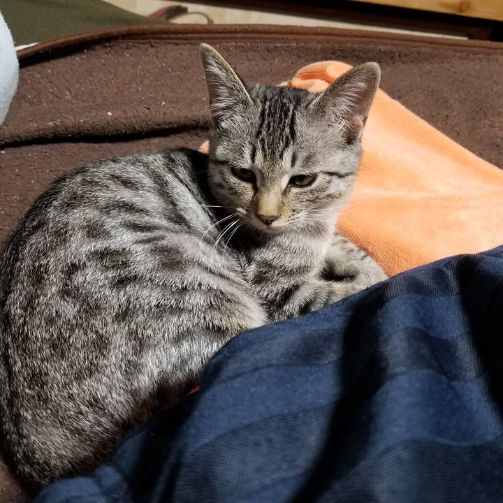 Ff2bb146 1bff 4ec9 8113 930ce5b82bf8 1667911595727