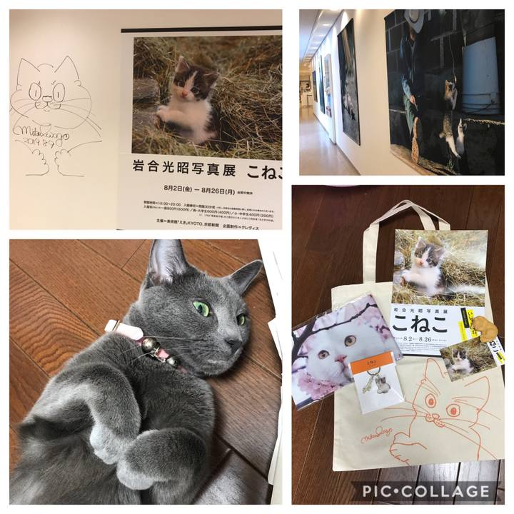 Ff2bb67a 67c2 4787 8e8b aa4d0548a29c 1565580411305