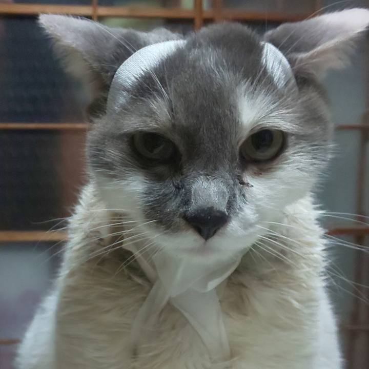 Ff2bbe84 5ab3 4399 b597 6b148b4faa33 1644166867488