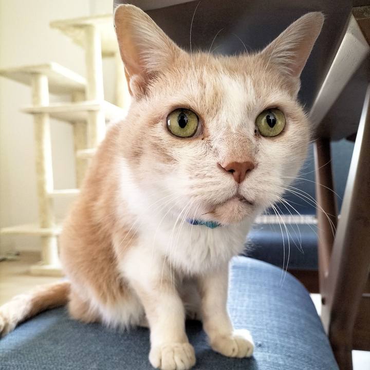 Ff2bbf12 c86d 45e5 8a13 f51c7d472f5b 1683848867810