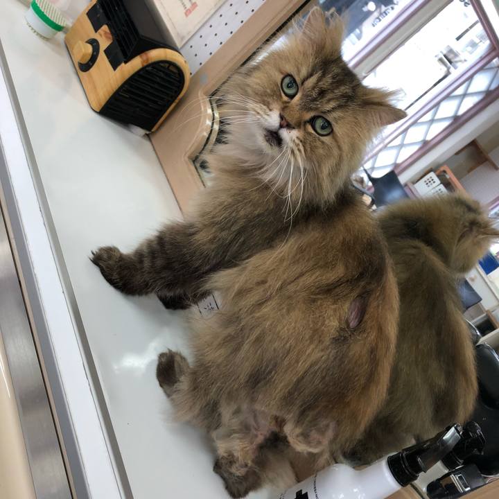 Ff2bd30d 7187 4125 8a67 2883c14fc2f2 1657239167267