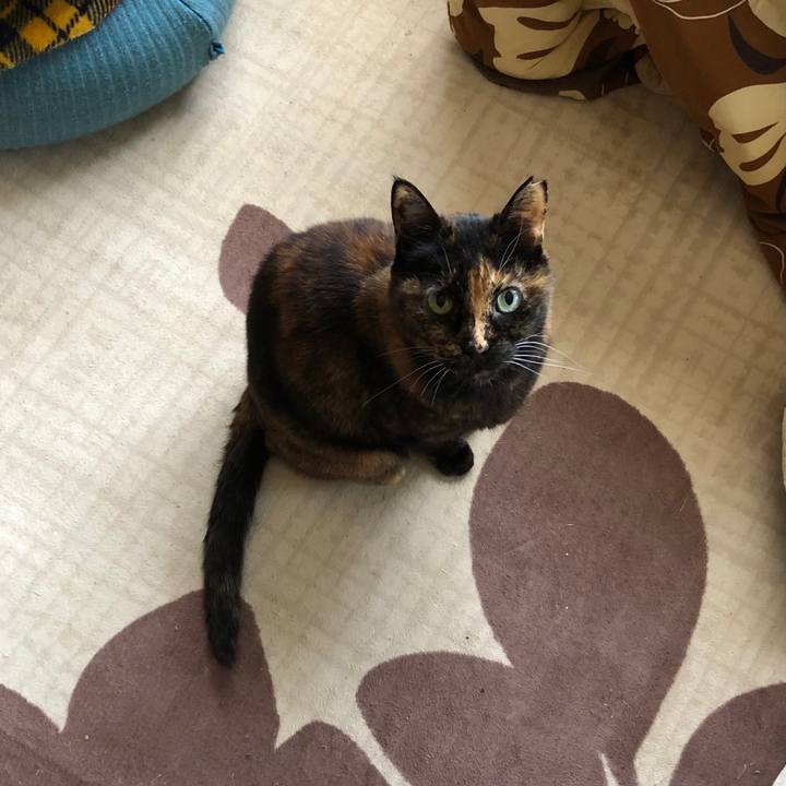 Ff2bd3fd e57a 46c3 bf54 1e7e6f00f24b 1618445407199