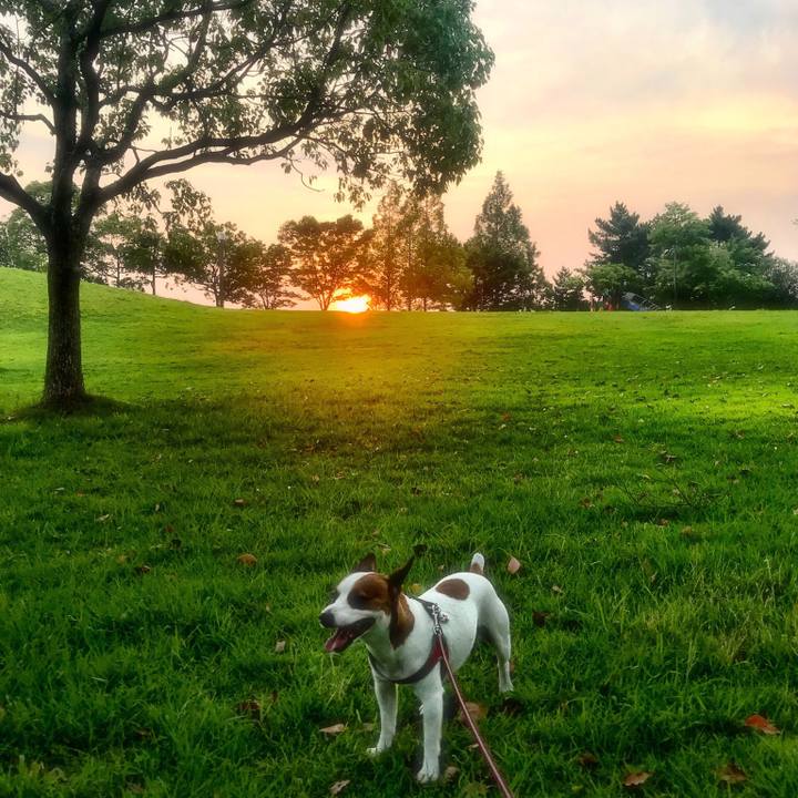 Ff2be61a 725d 452a 9a79 c77ba7e9415b 1531911502660