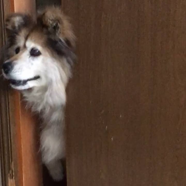 Ff2beb81 55a7 4e71 87ce 400c9a0204fd 1633410855913