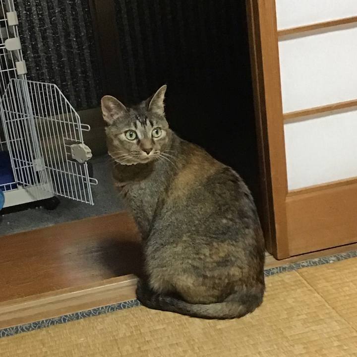 Ff2c010e a051 4736 bc74 682fd81a33f1 1686834577211