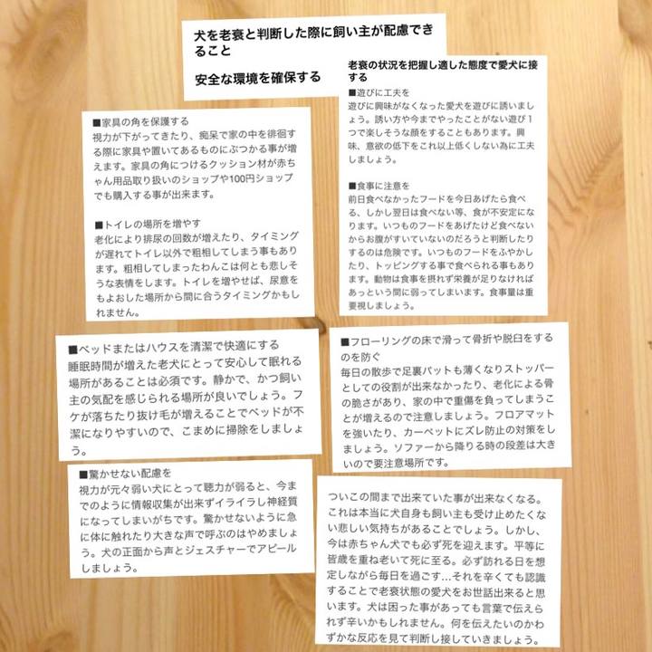 Ff2c622d 0059 4bff 89b8 0209699ca4c4 1519232448975