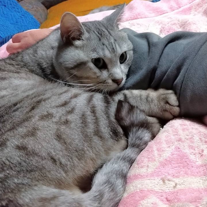 Ff2c649f 893f 4c42 a55f e1a169a74341 1682519686828