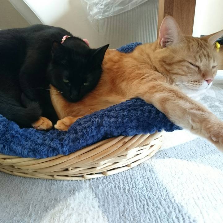 Ff2c65a4 6939 4572 b46e 32d6165a36ff 1520663017908