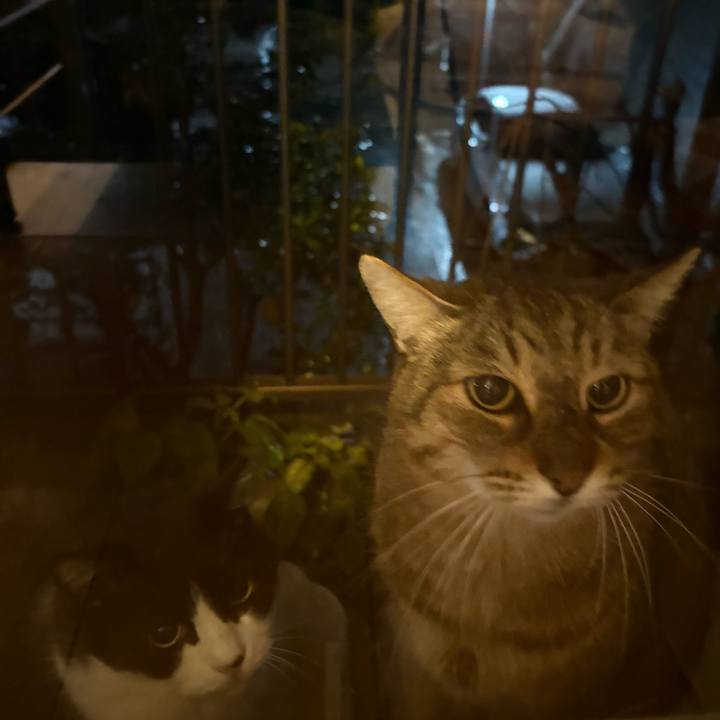 Ff2c67ef 143e 4b4a a684 b7fbe7311ac6 1766234196537