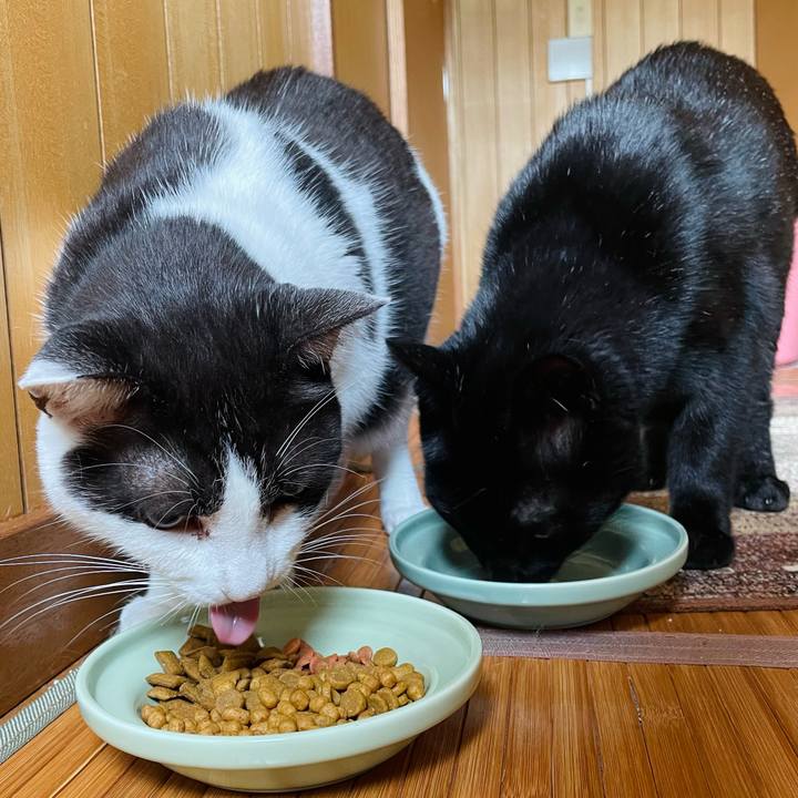 Ff2c946a 0266 47db 8f8e 64b011c92f5c 1664072005224