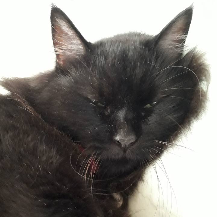 Ff2cb670 201e 432f afbb 18f6ea7646eb 1535435525975