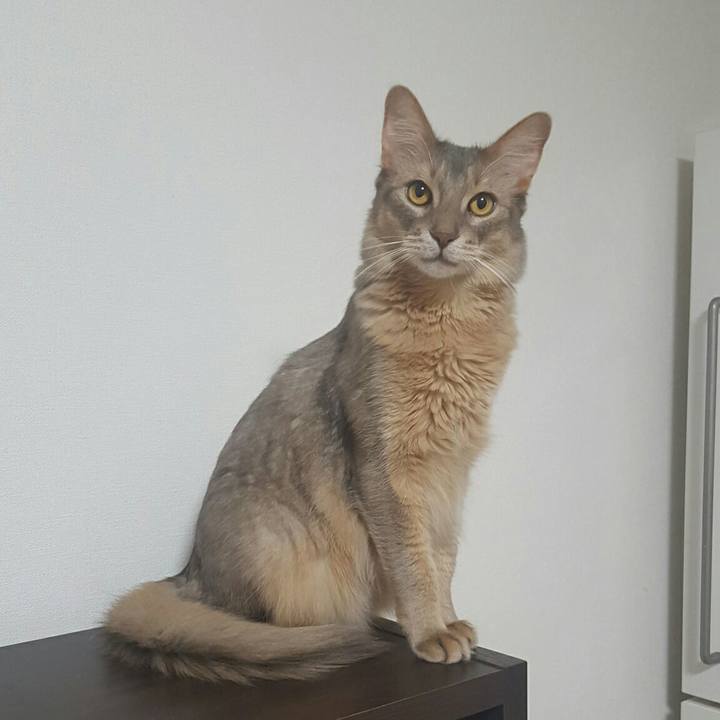 Ff2cff82 9fcc 4a8f 9ee8 1d1b73771a07 1542627078961