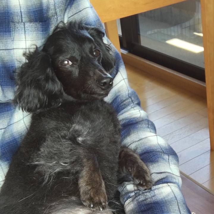 Ff2d1fd6 d53d 4f99 8fea a70e7d9feea3 1519770602755