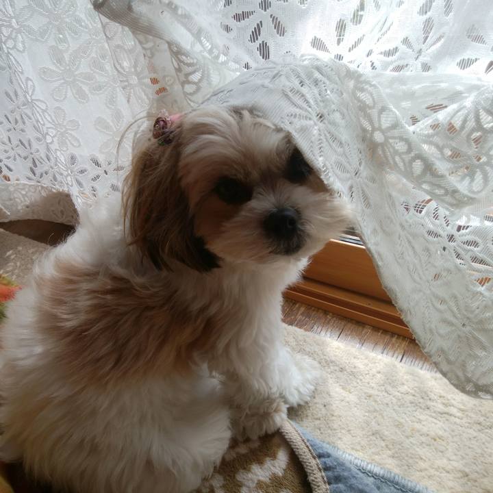 Ff2d44f9 db60 453b ad10 30e9e7c35591 1520129159205