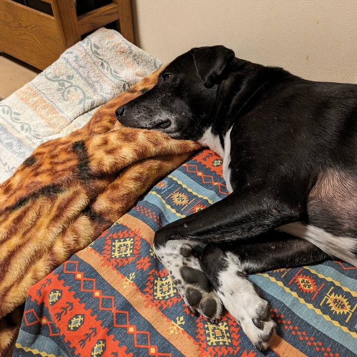 Ff2d6c00 46c8 4311 8674 53788951051d 1712619817576