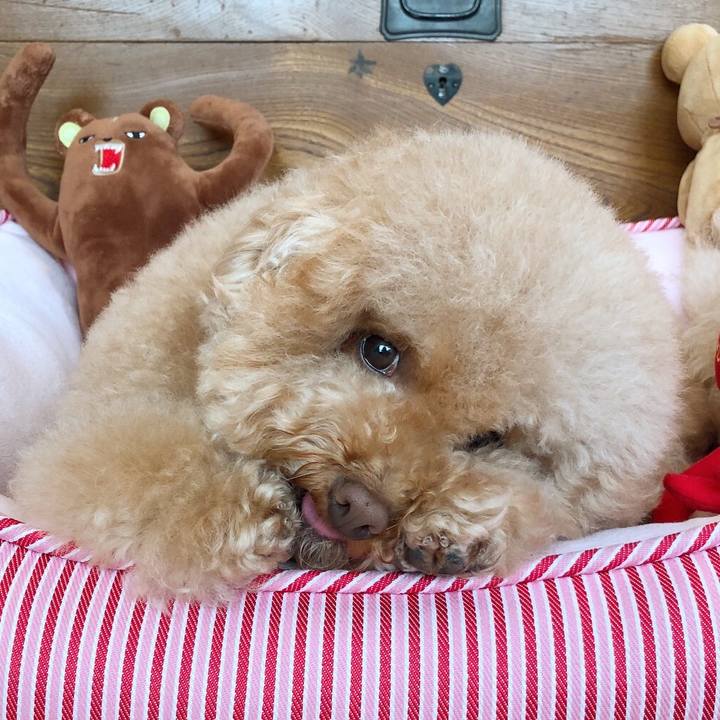 Ff2db73c b1ee 49b5 9a1e 3891269b5e2d 1509350656189