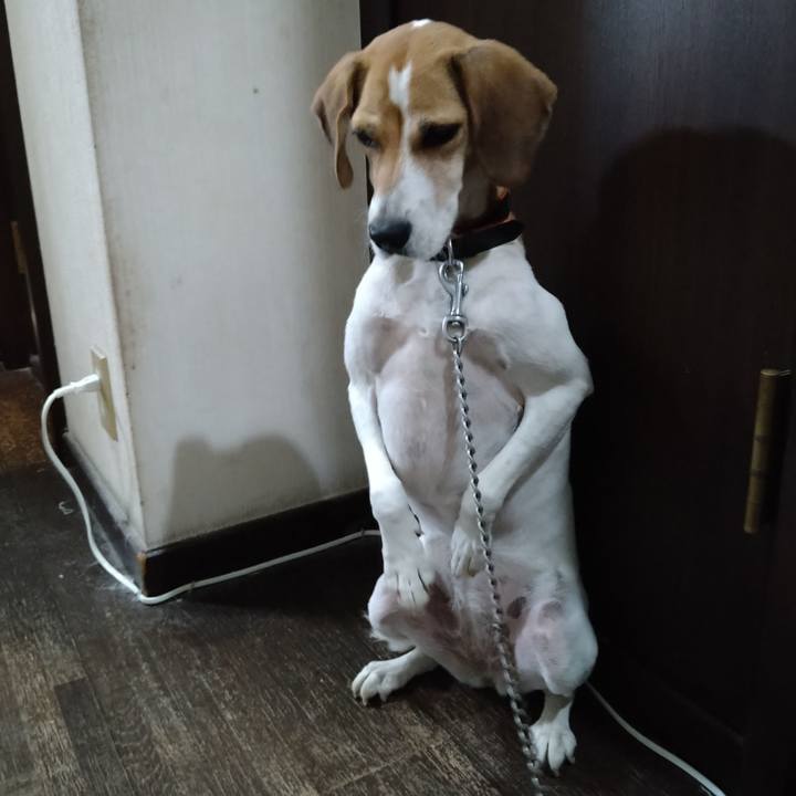 Ff2e1c31 d173 423f 8ff4 e4a59104629d 1631619523930