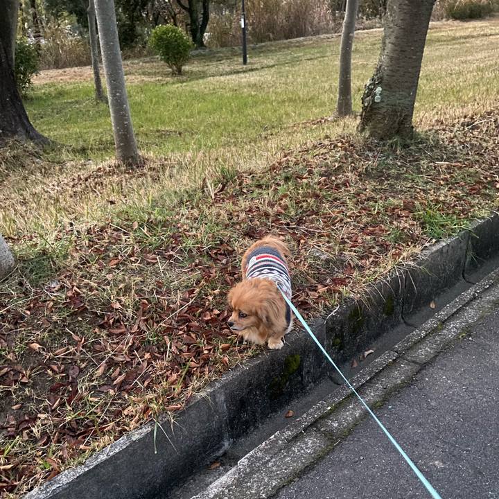 Ff2e2451 ac0a 4ae3 85c0 63adfb22cb09 1608242069715