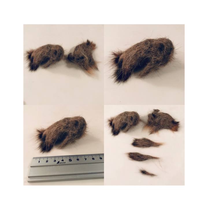 Ff2e39b3 1b70 44bd 842a fcceb7186f18 1632820220906