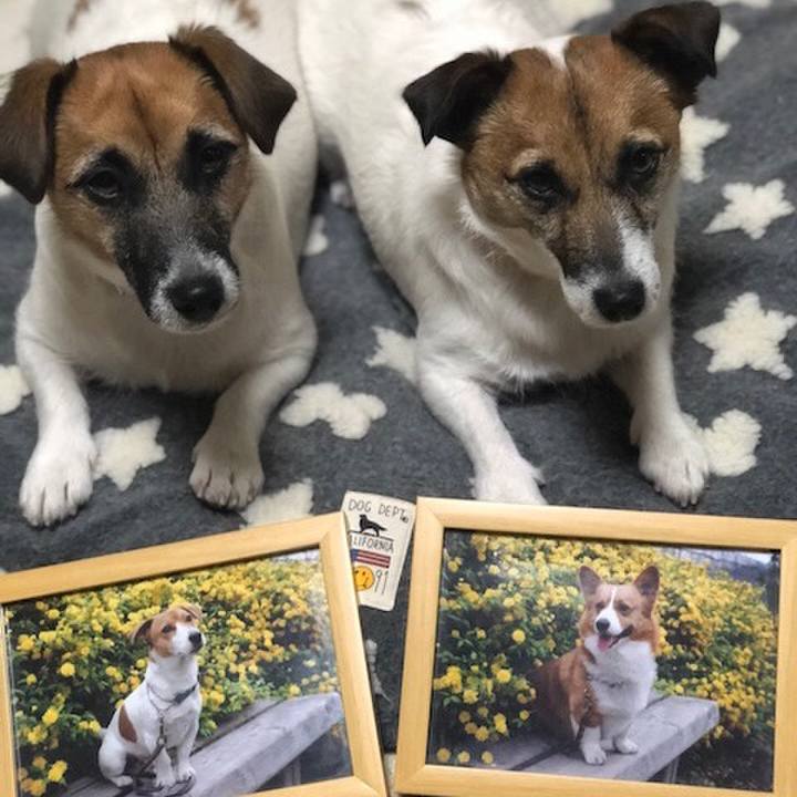 Ff2e6936 29e7 4f4a b546 48b6577b9e51 1546184505496