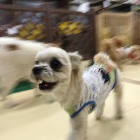 Ff2e6bd1 3cbb 4555 b7f6 182e71b0364c 1521112853588