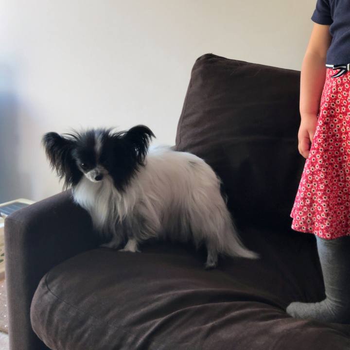 Ff2e7b1c 1f7d 4767 8bf9 7663f6ac62bf 1522487979888