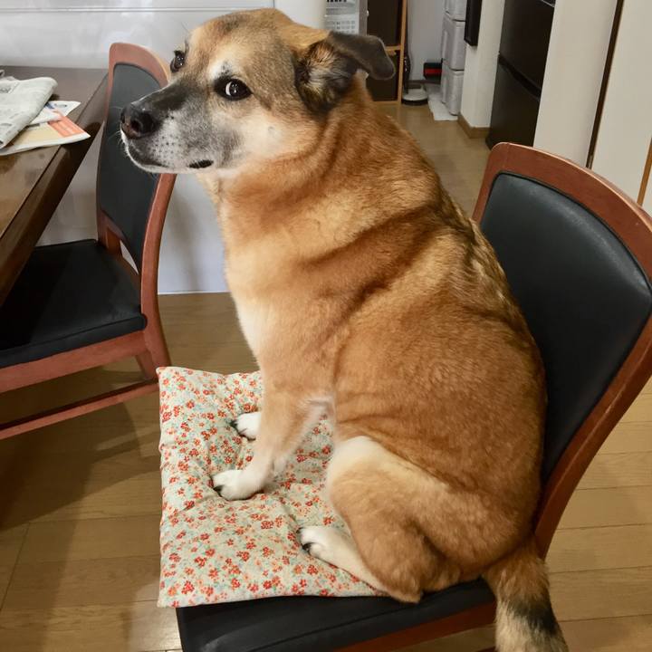 Ff2e8e7d 034f 499f a95a d80e5ca855c9 1584785144492