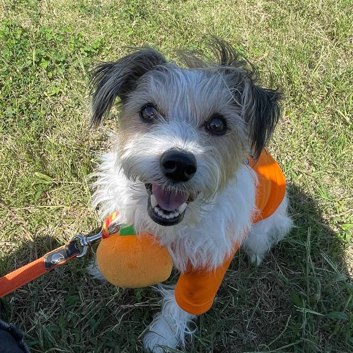 Ff2e9a33 2ebf 4d3e a715 a7eac7e43475 1760702890574