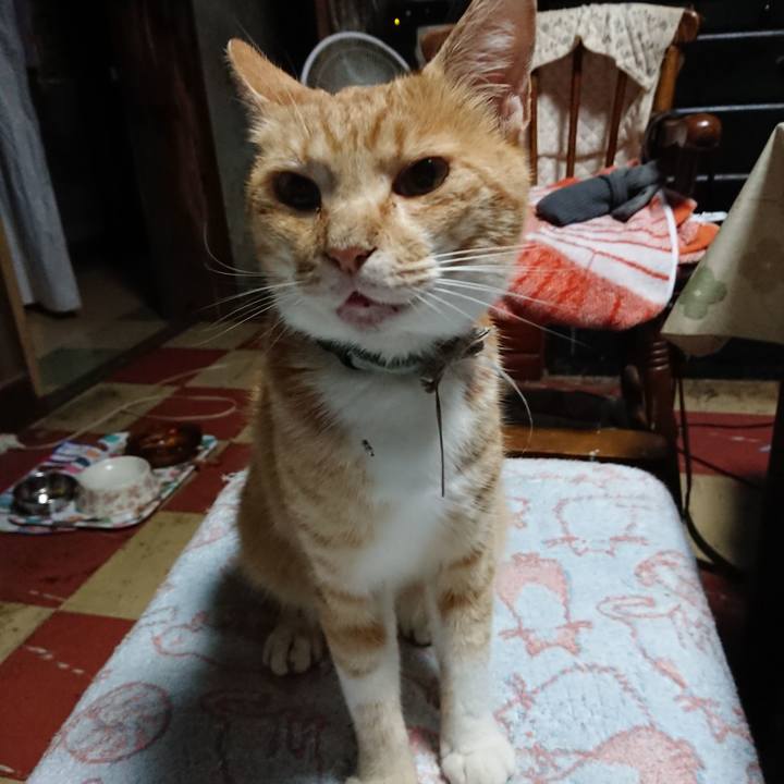 Ff2eae24 0371 46ce ab70 73831bacde6b 1593891499409