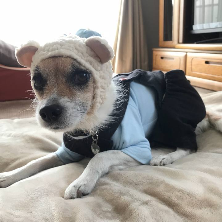 Ff2eef2b 5eb1 4a98 b06b e952b760259c 1517444723369