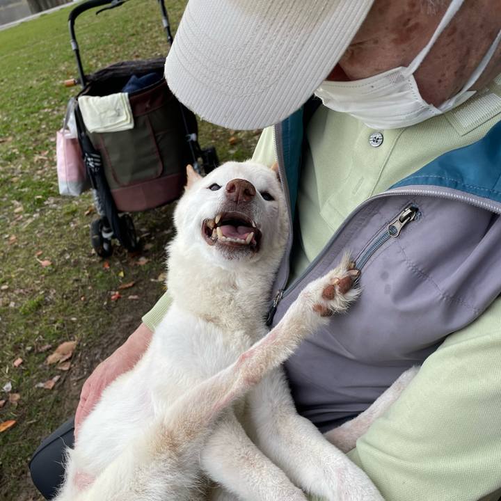 Ff2f0081 8b4a 4b92 ad36 4120e699598e 1679566928773