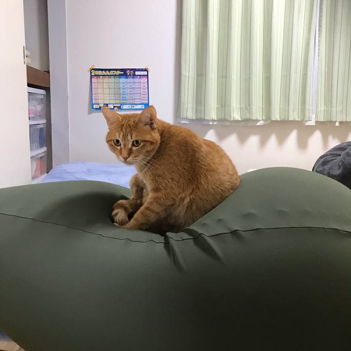 Ff2f0b8c 86c6 475b ab7d 44632c78866a 1550663684272