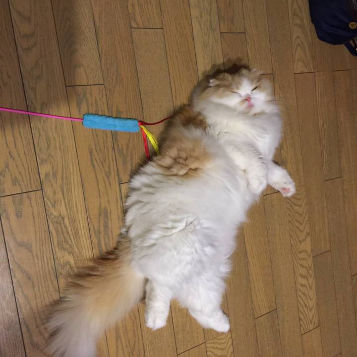 Ff2f6a0d d468 4aa4 8f2b c7d57e1dcaf5 1535717558258