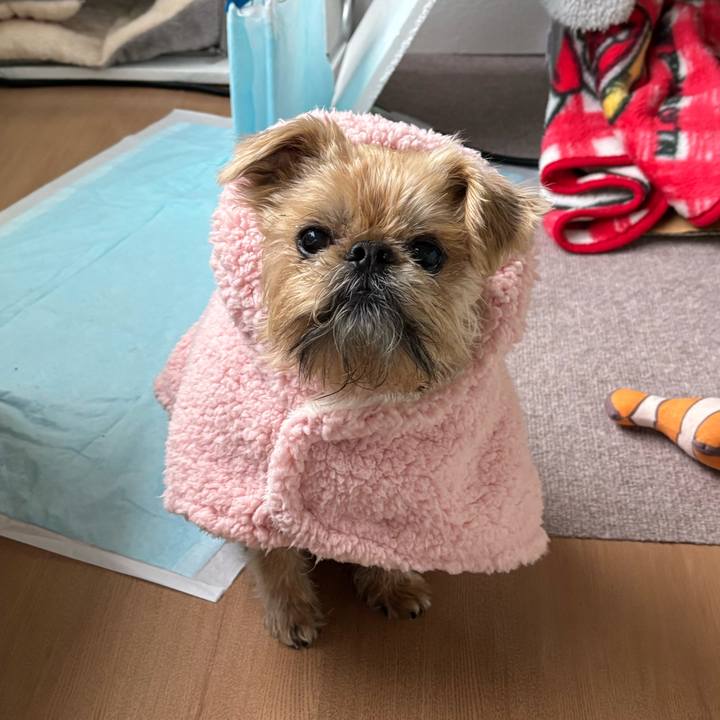 Ff2f9672 59a8 4152 93a8 ca7120676f15 1736427754540