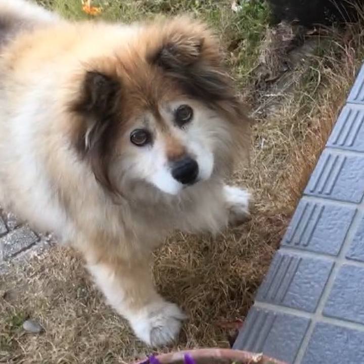 Ff2fc52e cf36 4e2a 842c 4467a0334de9 1571364535790