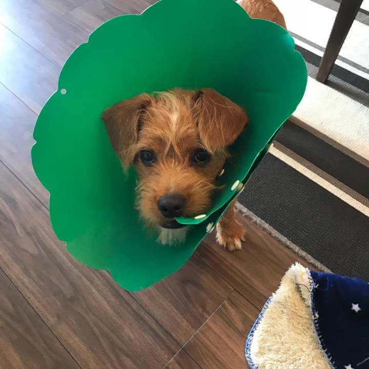 Ff30084a b0d8 4f3b 9c58 964754afaed4 1526372071737