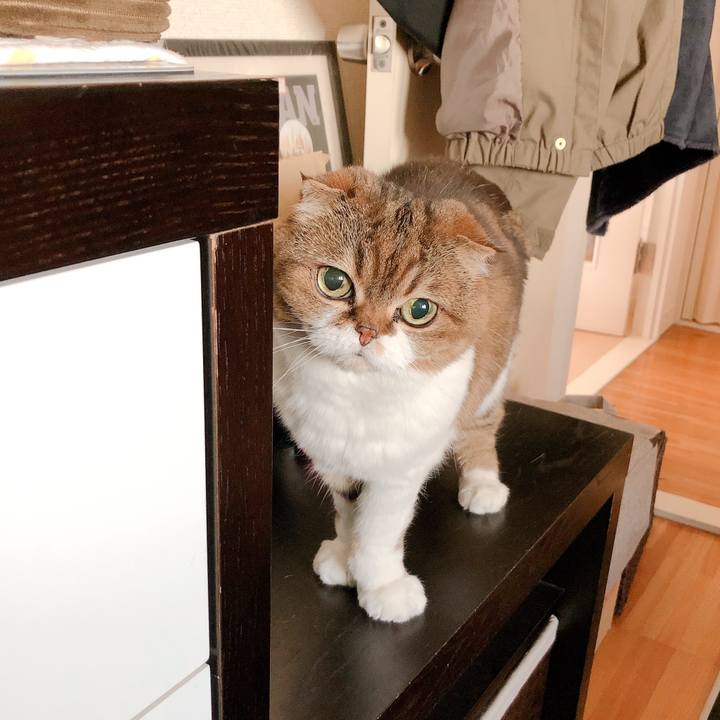 Ff300dcb e8e5 4b07 9917 e31f3779e3eb 1560633076518