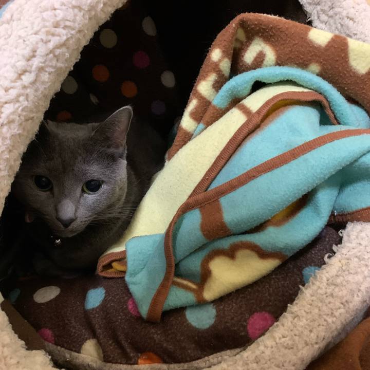 Ff300e50 d5df 414a 9da5 aced6b0e5ec0 1579561040671