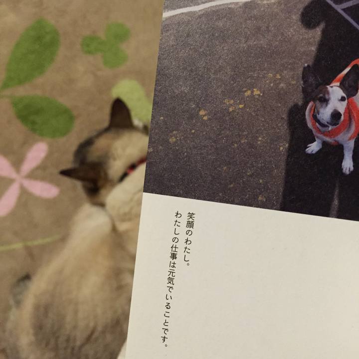 Ff301c39 9718 4264 ae3a 1e7b52999241 1521639543136