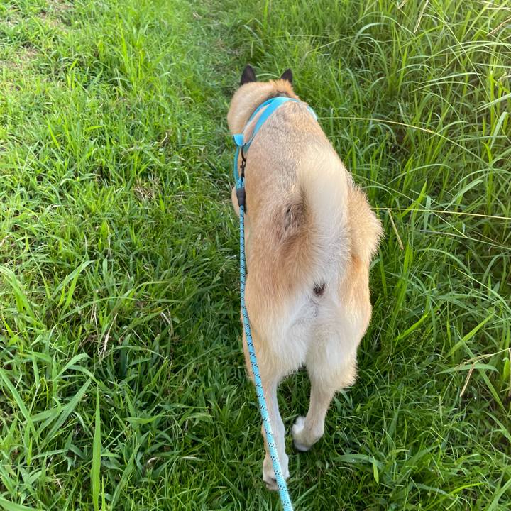 Ff3034b0 db6c 467a bb3c ade9f4d1f793 1723723256639